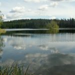 KONICA MINOLTA DIGITAL CAMERA