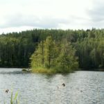 KONICA MINOLTA DIGITAL CAMERA