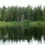 KONICA MINOLTA DIGITAL CAMERA