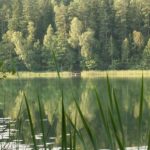 KONICA MINOLTA DIGITAL CAMERA