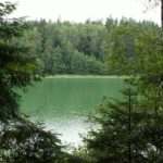 KONICA MINOLTA DIGITAL CAMERA