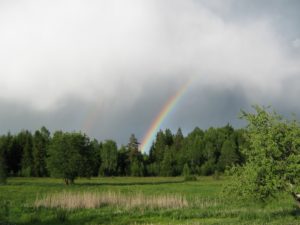 posle-dozhdja
