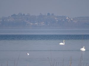 DSC00130