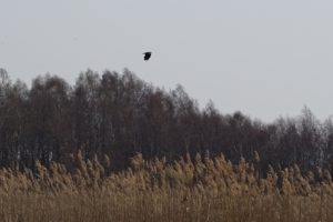 DSC00189