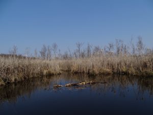 DSC00195