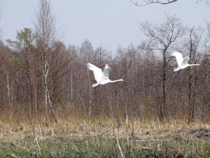 DSC00267