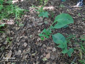 IMG_20190905_150037