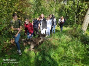 IMG_20190905_152231
