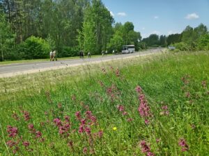 IMG_20210607_123407