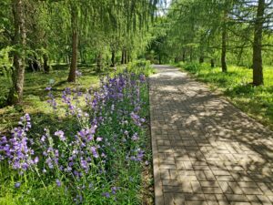 IMG_20210630_111822-1