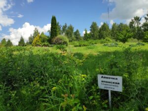 IMG_20210630_125418-1