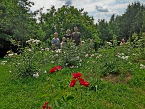 IMG_20210701_122620_1-1