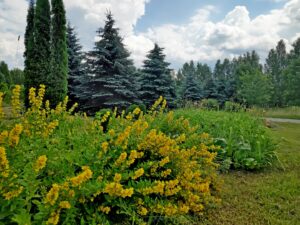 IMG_20210701_133830_1-1