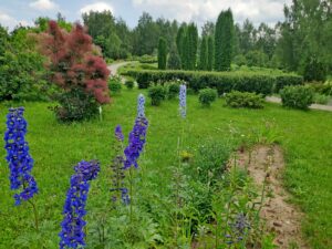 IMG_20210701_134540-1
