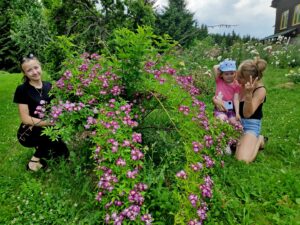 IMG_20210701_135409-1