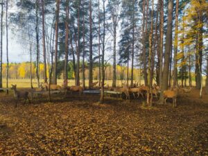 IMG_20221020_095451