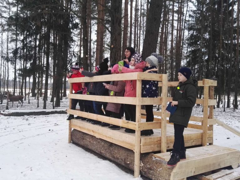 изображение_viber_2022-12-05_11-55-28-945