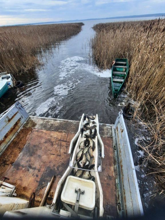 photo_2025-11-10_09-13-18