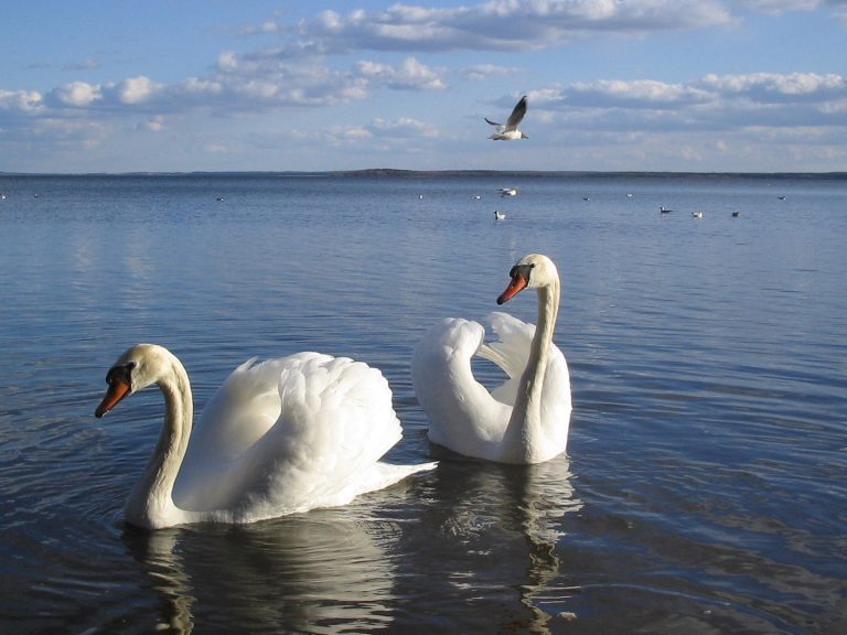 32..Изображение 192