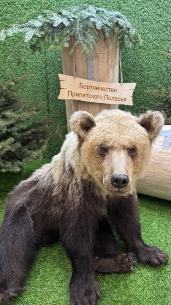 photo_2025-12-24_12-56-22 (3)