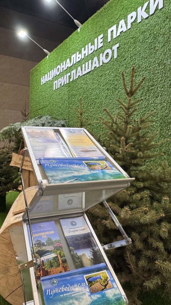 photo_2025-12-24_12-56-22