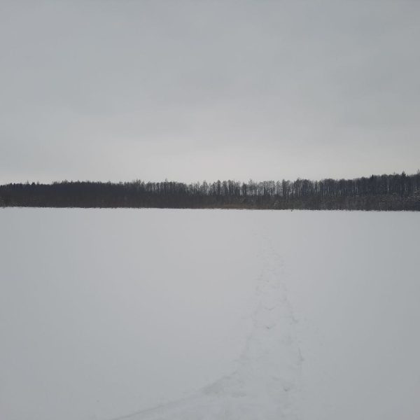 IMG_20260210_150837_928