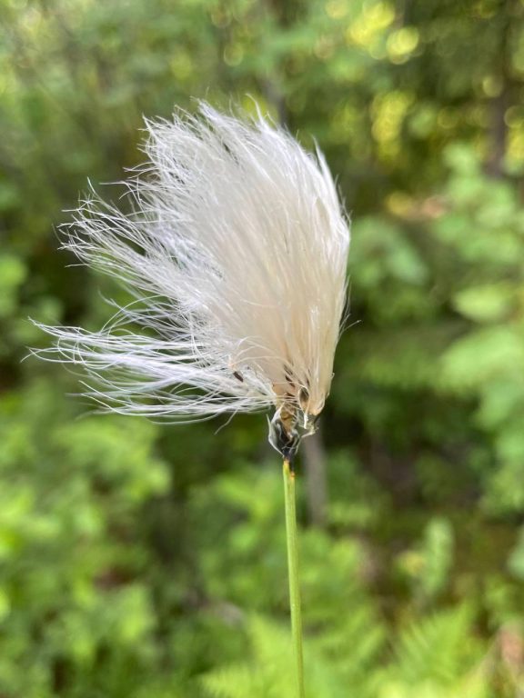 photo_2026-02-02_12-36-24 (2)