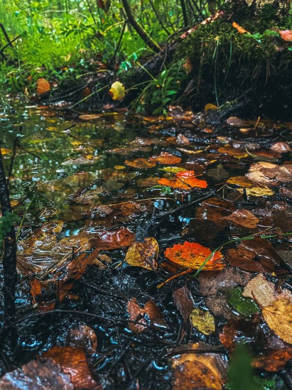 photo_2026-02-02_12-36-26