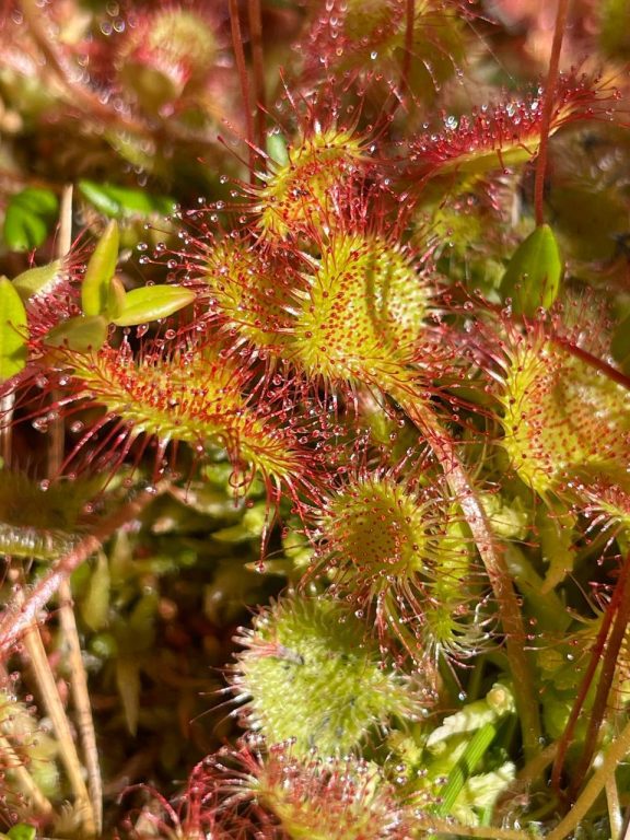 photo_2026-02-02_12-36-27