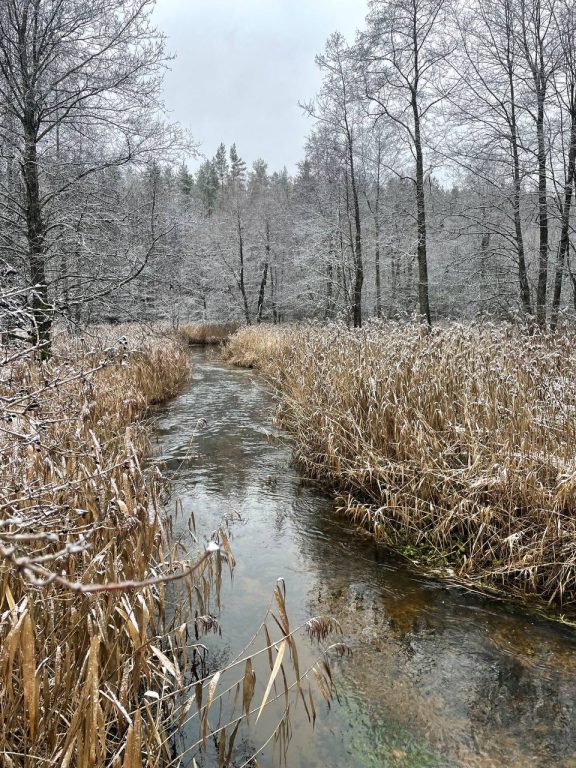 photo_2026-02-02_12-36-28