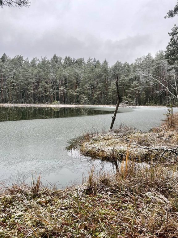 photo_2026-02-02_12-36-29