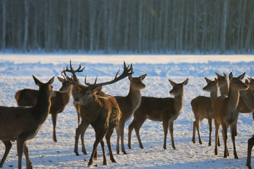 photo_2026-02-11_12-56-17