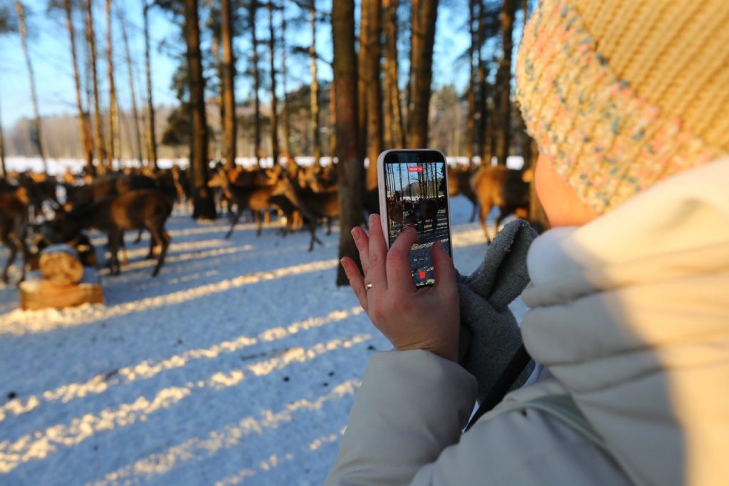 photo_2026-02-11_13-02-02