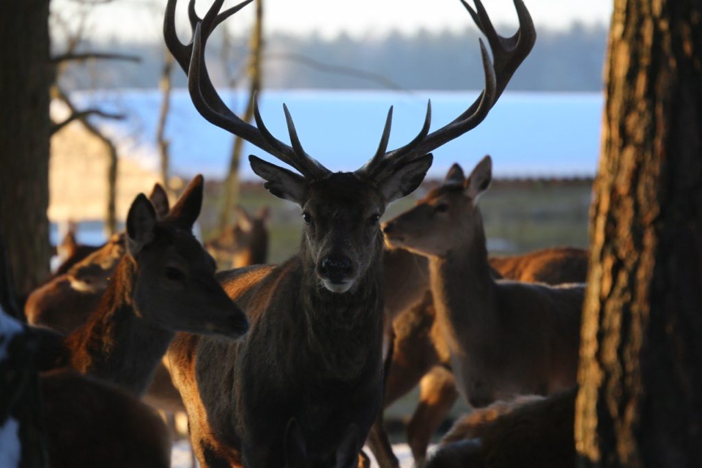 photo_2026-02-11_13-02-59