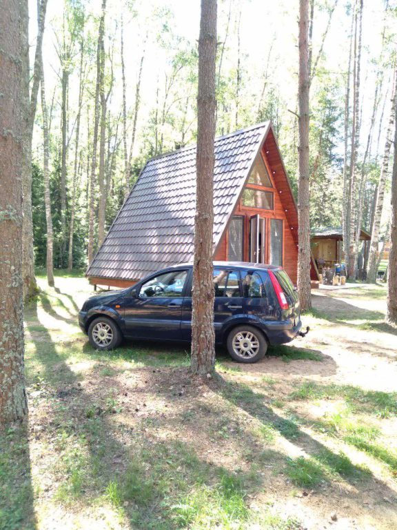 изображение_viber_2026-02-10_12-02-54-869