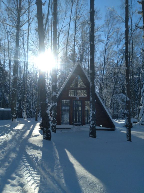 изображение_viber_2026-02-10_13-49-13-083