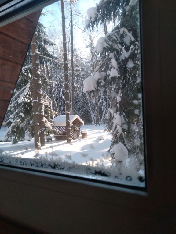 изображение_viber_2026-02-10_13-49-18-170