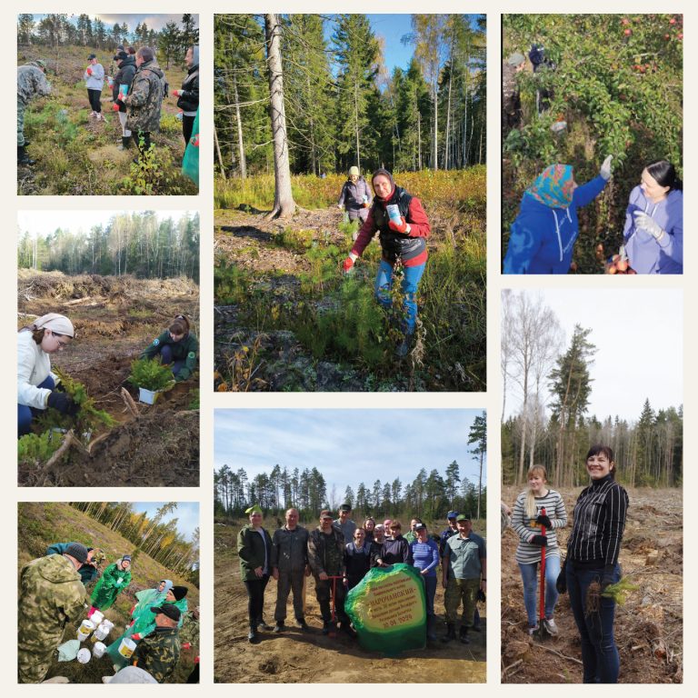 Family Memories & Milestones Photo Book in Cream Clean & Soft St