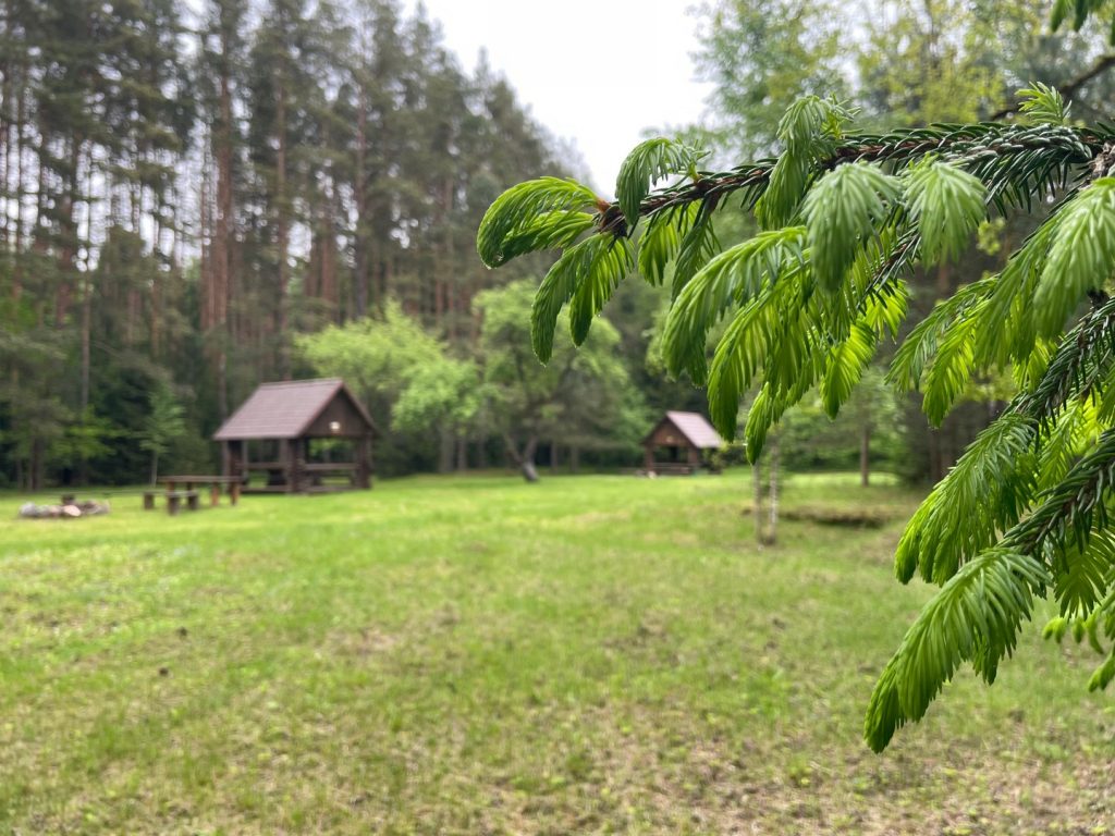 IMG_5548