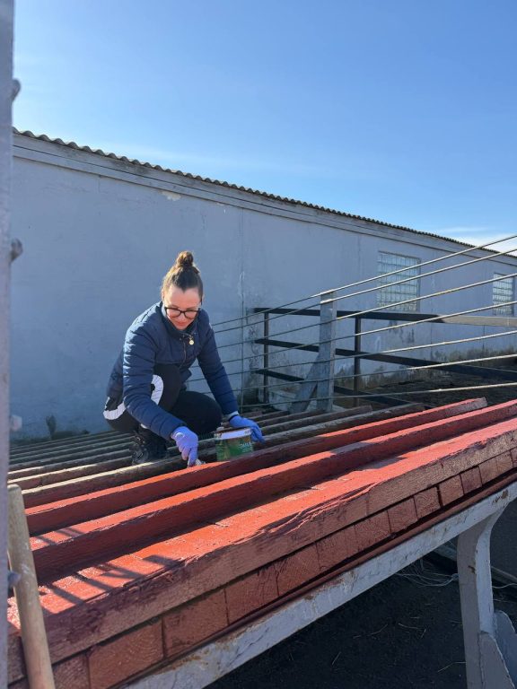 photo_2026-04-18_11-24-40 (2)