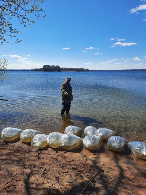 photo_2026-04-23_09-18-18 (2)