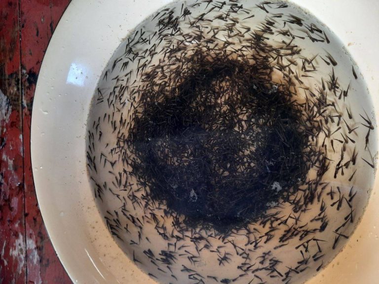 photo_2026-04-23_09-18-18