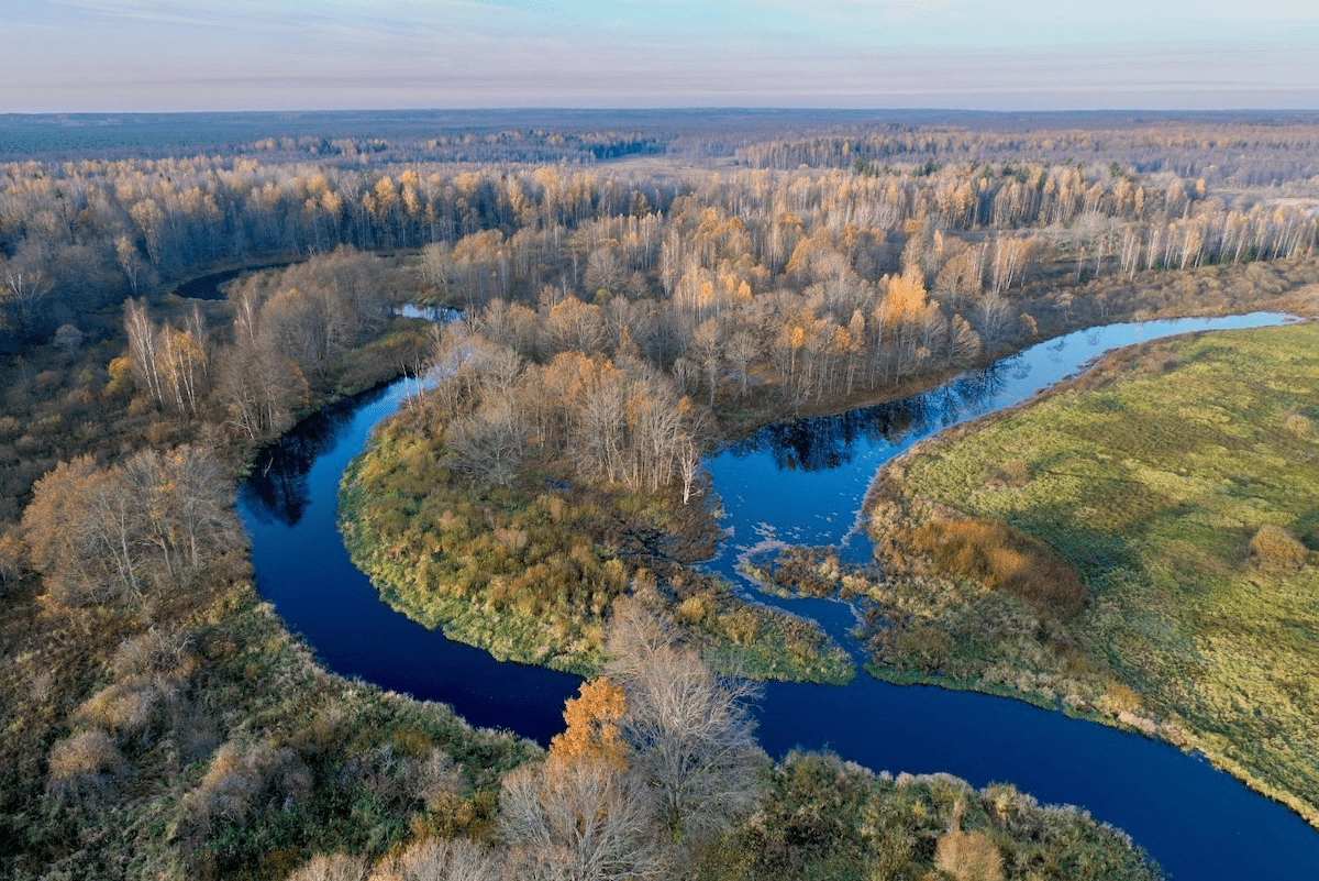 «Through the Nature Reserves of Belarus»
