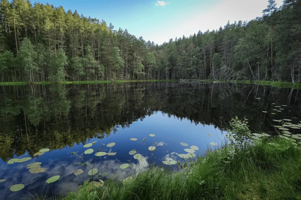 «A Journey into Nature»