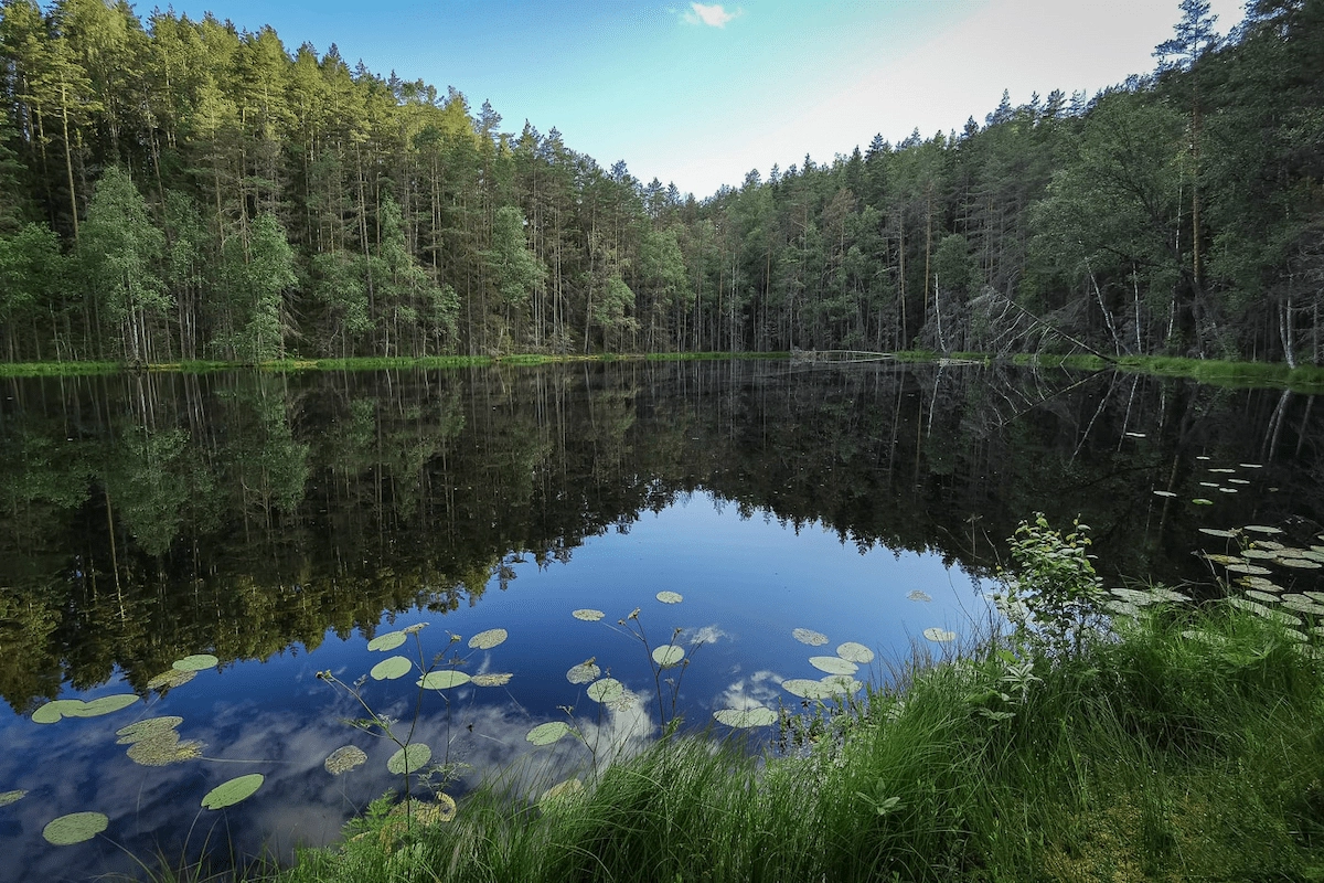 «A Journey into Nature»