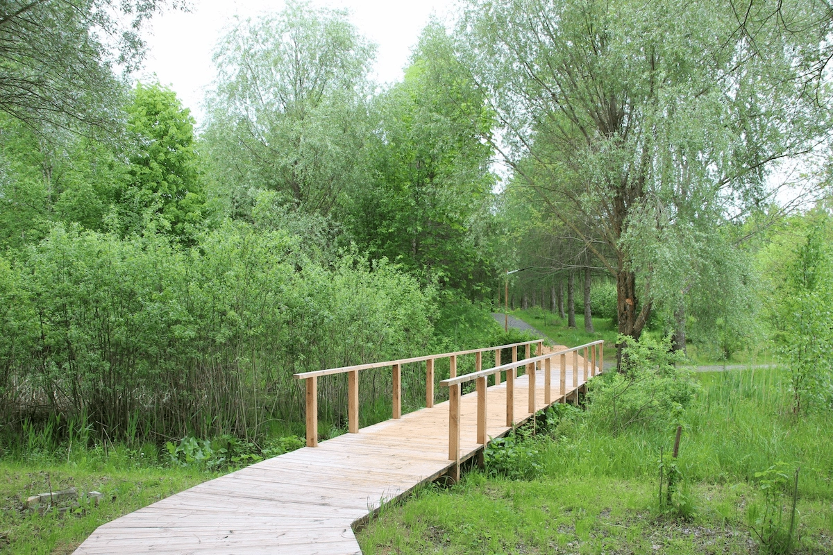 Arboretum