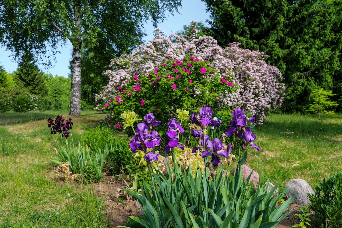 Arboretum