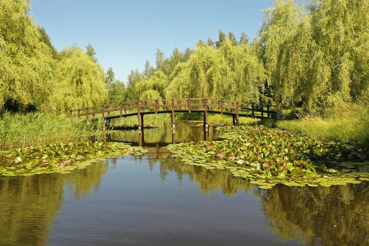 Arboretum