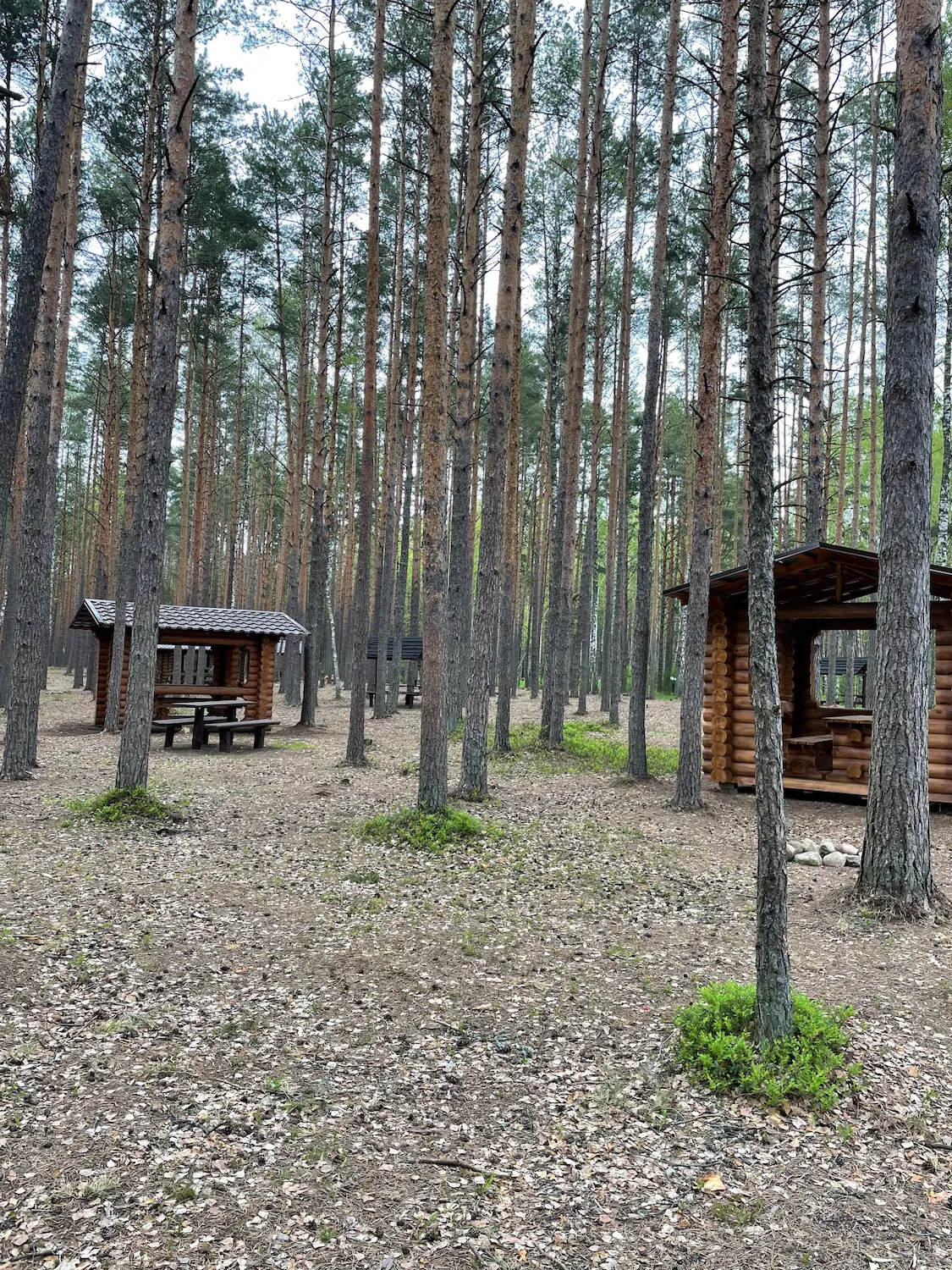 «Beloye» Tourist Campsite