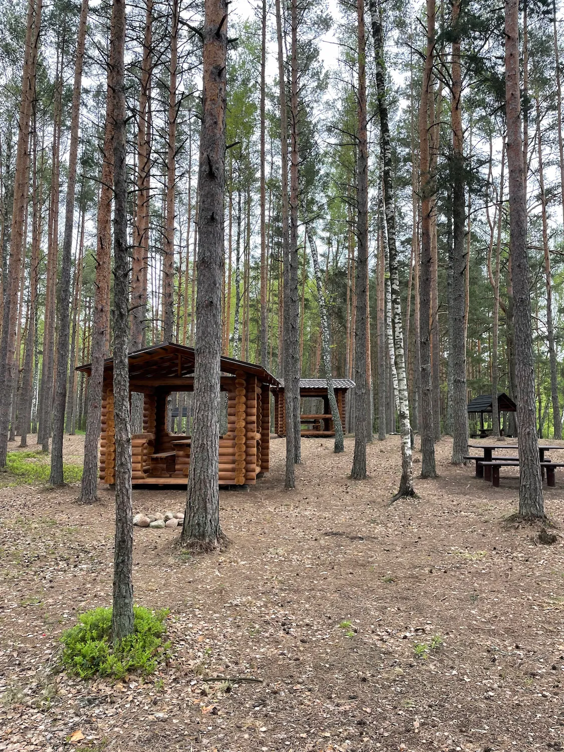 «Beloye» Tourist Campsite
